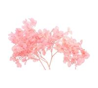 PATIKIL Dried Hydrangea Flower, 10g Natural Pressed Flowers Real Hydrangeas Petals for DIY Resin Crafts Card Floral Gift Candle Making Decor, Pink