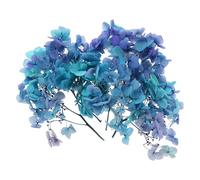 PATIKIL Dried Hydrangea Flower, 10g Natural Pressed Flowers Real Hydrangeas Petals for DIY Resin Crafts Card Floral Gift Candle Making Decor, Gradient Blue Purple