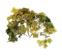 PATIKIL Dried Hydrangea Flower, 10g Natural Pressed Flowers Real Hydrangeas Petals for DIY Resin Crafts Card Floral Gift Candle Making Decor, Gradient Dark