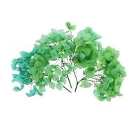 PATIKIL Dried Hydrangea Flower, 10g Natural Pressed Flowers Real Hydrangeas Petals for DIY Resin Crafts Card Floral Gift Candle Making Decor, Gradient Green