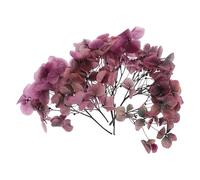 PATIKIL Dried Hydrangea Flower, 10g Natural Pressed Flowers Real Hydrangeas Petals for DIY Resin Crafts Card Floral Gift Candle Making Decor, Gradient Pink Gray
