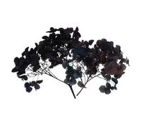 PATIKIL Dried Hydrangea Flower, 10g Natural Pressed Flowers Real Hydrangeas Petals for DIY Resin Crafts Card Floral Gift Candle Making Decor, Gradient Mist Blue Purple