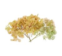 PATIKIL Dried Hydrangea Flower, 10g Natural Pressed Flowers Real Hydrangeas Petals for DIY Resin Crafts Card Floral Gift Candle Making Decor, Gradient Green Pink