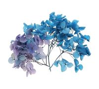 PATIKIL Dried Hydrangea Flower, 10g Natural Pressed Flowers Real Hydrangeas Petals for DIY Resin Crafts Card Floral Gift Candle Making Decor, Gradient Blue