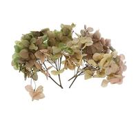 PATIKIL Dried Hydrangea Flower, 10g Natural Pressed Flowers Real Hydrangeas Petals for DIY Resin Crafts Card Floral Gift Candle Making Decor, Gradient Light Green Pink
