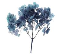 PATIKIL Dried Hydrangea Flower, 10g Natural Pressed Flowers Real Hydrangeas Petals for DIY Resin Crafts Card Floral Gift Candle Making Decor, Gradient Purple