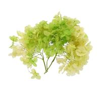 PATIKIL Dried Hydrangea Flower, 10g Natural Pressed Flowers Real Hydrangeas Petals for DIY Resin Crafts Card Floral Gift Candle Making Decor, Gradient Green Yellow