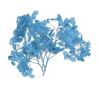 PATIKIL Dried Hydrangea Flower, 10g Natural Pressed Flowers Real Hydrangeas Petals for DIY Resin Crafts Card Floral Gift Candle Making Decor, Blue