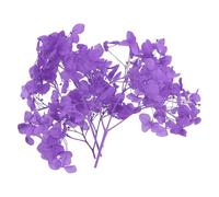 PATIKIL Dried Hydrangea Flower, 10g Natural Pressed Flowers Real Hydrangeas Petals for DIY Resin Crafts Card Floral Gift Candle Making Decor, Purple