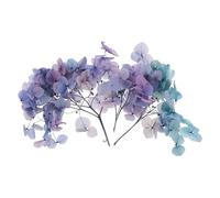 PATIKIL Dried Hydrangea Flower, 10g Natural Pressed Flowers Real Hydrangeas Petals for DIY Resin Crafts Card Floral Gift Candle Making Decor, Gradient Light Blue Purple
