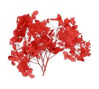 PATIKIL Dried Hydrangea Flower 10g Natural Pressed Flowers,Red | Real Hydrangeas Petals for DIY Resin Crafts Card Floral Gift Candle Making Decor