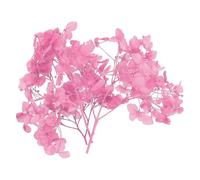 PATIKIL Dried Hydrangea Flower 10g Natural Pressed Flowers,Rose Pink | Real Hydrangeas Petals for DIY Resin Crafts Card Floral Gift Candle Making Decor