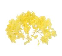 PATIKIL Dried Hydrangea Flower 10g Natural Pressed Flowers,Yellow | Real Hydrangeas Petals for DIY Resin Crafts Card Floral Gift Candle Making Decor