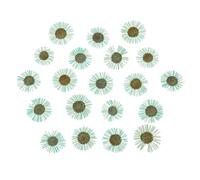 PATIKIL Dried Pressed Flower, 60 Pcs for Resin DIY Crafts Nail Art Cards Scrapbooking Jewelry Making Floral Decor Candle Decors, Light Blue