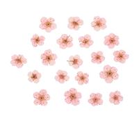 PATIKIL Dried Pressed Flower, 60 Pcs for Resin DIY Crafts Nail Art Cards Scrapbooking Jewelry Making Floral Decors, Light Pink