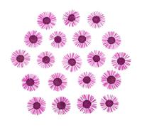 PATIKIL Dried Pressed Flower, 60 Pcs for Resin DIY Crafts Nail Art Cards Scrapbooking Jewelry Making Floral Decor Candle Decors, Rose Red