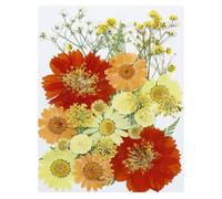 PATIKIL Dried Pressed Flowers, Natural Dried Flower Leave Assorted Real Pressed Flowers for DIY Art Crafts Resin Mold Scrapbooking, Sunflower Style