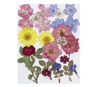 PATIKIL Dried Pressed Flowers, Natural Dried Flower Leave Assorted Real Pressed Flowers for DIY Art Crafts Resin Mold Scrapbooking, Retro Style