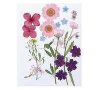 PATIKIL Dried Pressed Flowers, Natural Dried Flower Leave Real Pressed Flowers for DIY Art Crafts Resin Mold Scrapbooking, Multicolor