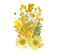 PATIKIL Dried Pressed Flowers, Real Pressed Flowers Dry Leaves for Scrapbook Supplies Card Making Resin Jewelry Making Soap Candle DIY Crafts, Yellow
