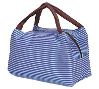 PATIKIL Insulated Lunch Bags, 9"x6"x6" Reusable Bento Bags Thermal Lunch Tote Portable Food Containers Bag for Men and Women, Blue