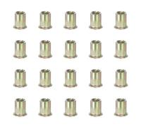 PATIKIL M10 Rivet Nuts, 20 Pcs Galvanized Carbon Steel Knurled Flat Head Threaded Insert Nuts Metric Rivet Nut Assortment Kit for Automotive Furniture