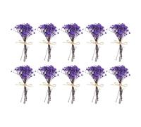PATIKIL Mini Dried Flower Bouquet, 10 Pcs Baby's Breath Natural Wildflower with Stem Decor Boho Floral Plant Flower for Crafts DIY Photo Props Gift Wedding Decor, Blue Purple