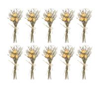 PATIKIL Mini Dried Flower Bouquet, 10 Pcs Rose Natural Wildflower with Stem Decor Baby's Breath Boho Floral Plant Flower for Crafts DIY Photo Props Gift Wedding Decor, Beige