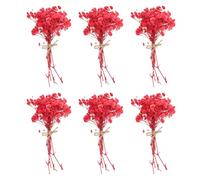PATIKIL Mini Dried Flower Bouquet, 6 Pcs Baby's Breath Natural Wildflower with Stem Decor Boho Floral Plant Flower for Crafts DIY Photo Props Gift Wedding Decor, Red