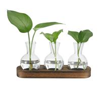 PATIKIL Plant Propagation Stations Glass Vases 9.4x2.6inch, Desktop Plant Terrarium Container with Wooden Tray 3 Bulb Flower Vase for Hydroponic Office Home Decor Plants Indoor