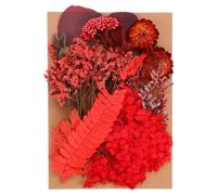 PATIKIL Pressed Flowers for Craft, Bulk Dried Flowers Natural Pressed Flowers Leaves for Resin Soap Candle Scrapbooking DIY Gift Papermaking, Red Style