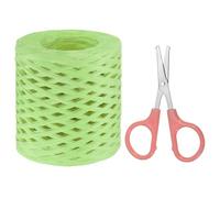 PATIKIL Raffia Paper Craft Ribbon Assortment Kit, Natural Raffia String with Scissor for Gifts, Flower Bouquets, Decoration, Light Green, 218 Yards