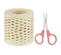 PATIKIL Raffia Paper Craft Ribbon Assortment Kit, Natural Raffia String with Scissor for Gifts, Flower Bouquets, Decoration, Pale Green, 218 Yards