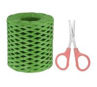 PATIKIL Raffia Paper Craft Ribbon Assortment Kit, Natural Raffia String with Scissor for Gifts, Flower Bouquets, Decoration, Green, 218 Yards