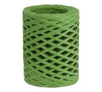 PATIKIL Raffia Ribbon 100 Yard, 1 Roll Natural Packing Paper Twine String for Crochet Box Wrapping Craft Holiday Decor, Mint Green