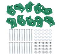 PATIKIL Rock Climbing Holds, 10 Pcs Large Climbing Rock Wall Grips Play Set Climber Attachments with Double Hole for Playground Accessory Indoor Outdoor Tree Training, Green C-Large