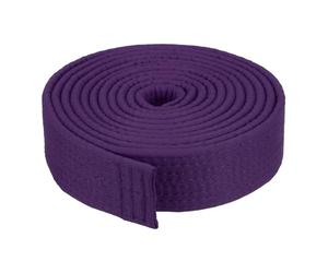 PATIKIL Taekwondo Colored Ranking Belt 1.6" x9.8Ft 3 m, Polyester Martial Arts Judo Karate Belt for Coach Teaching Practice, Purple