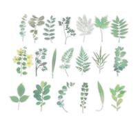 PATIKIL Transparent Flower Vinyl Stickers, 80 Sheet Waterproof PET Flowers Decals Floral Stickers for Scrapbook Journaling Crafts DIY Water Bottles, Green