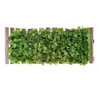 Patio Fence Privacy - Expandable Balcony Screen, Artificial Greenery Trellis Panel Backdrop | Adjustable Decorative Coverage Barrier Solution For Home Yard Terrace Apartment Railing Garden Concealment