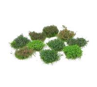PATKAW 10pcs Miniature Grass Cluster for Model Scenery Supplies, Realistic Texture and Easy Application, Plastic and Nylon Material, for School Dioramas and Property Displays in Miniature