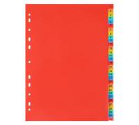 PATKAW Binder Portable for Separating Documents A4 Dividers PVC Index Dividers with 31 Tabs and Suitable for School and Work, Compatible with A4 Portrait Binders and Reports