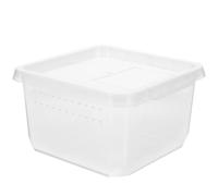 PATKAW Feeding Bin for Tarantula Clear Plastic Reptile Enclosure with Escape-proof Design, Suitable for Breeding Spiderlings and Exotic Small Pets