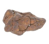 PATKAW Meteorite Space Rock 2-3Cm Iron-Nickel Specimen Scientific Teaching Aid for Classroom Science Education and Desktop Display