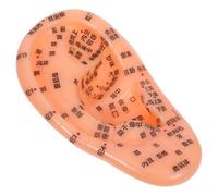 PATKAW Realistic Ear Anatomical Model Made of PVC for Learning and Practicing Ear Reflexology with Display of Acupuncture Points, Reference Model for Clinical Practice and Education