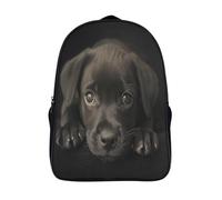 PATO FLIGHT Labrador Dog Backpack for School Bags Kids School Bag,bags for Kids Bookbag for Elementary,Children's Backpacks 40x28x16cm