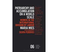 Patriarchy and Accumulation on a World Scale: Women in the International Division of Labour (Critique Influence Change)