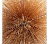 BRENNAN, Patricia - Of The Near & Far - CD