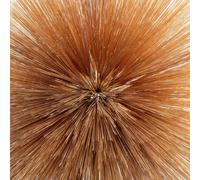 BRENNAN, Patricia - Of The Near & Far - CD