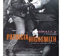 Patricia Highsmith Small G: A Summer Idyll Paperback Book Patricia Highsmith Multicolor