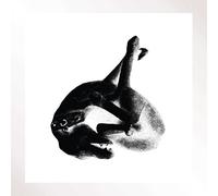 Patricia - Several Shades Of The Same Color [VINYL]